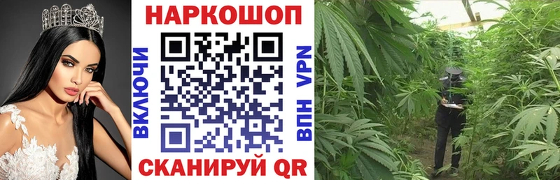 Где продают наркотики Петушки A-PVP  Меф  Метадон  КОКАИН  МАРИХУАНА 