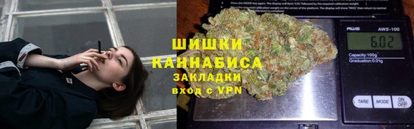 винт Новозыбков