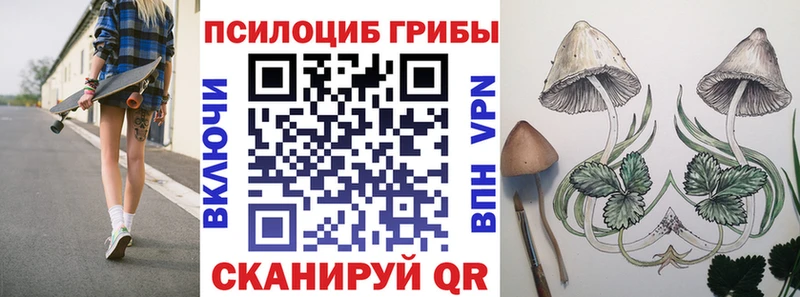 Псилоцибиновые грибы прущие грибы  Петушки 